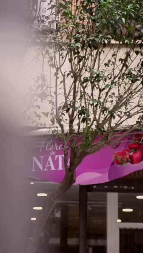 Flores de NATA