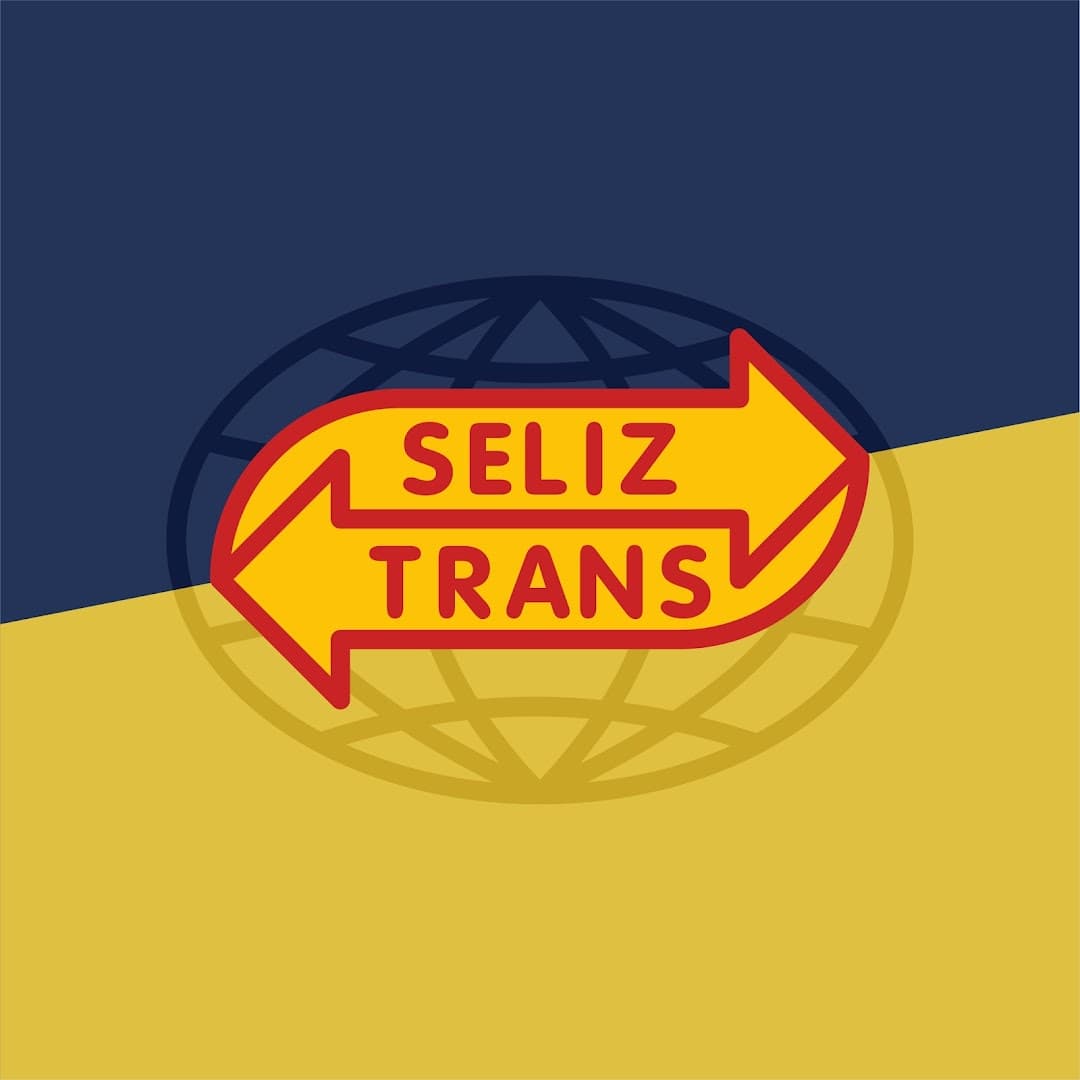 Seliz trans mudanza S.L. — фото 8